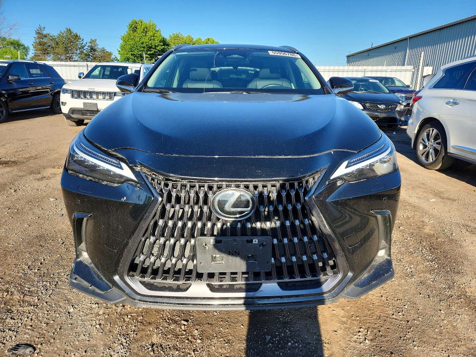 Продажа на аукционе авто 2025 Lexus Nx, vin: 2T2GGCEZ1SC063860, номер лота: 55956786
