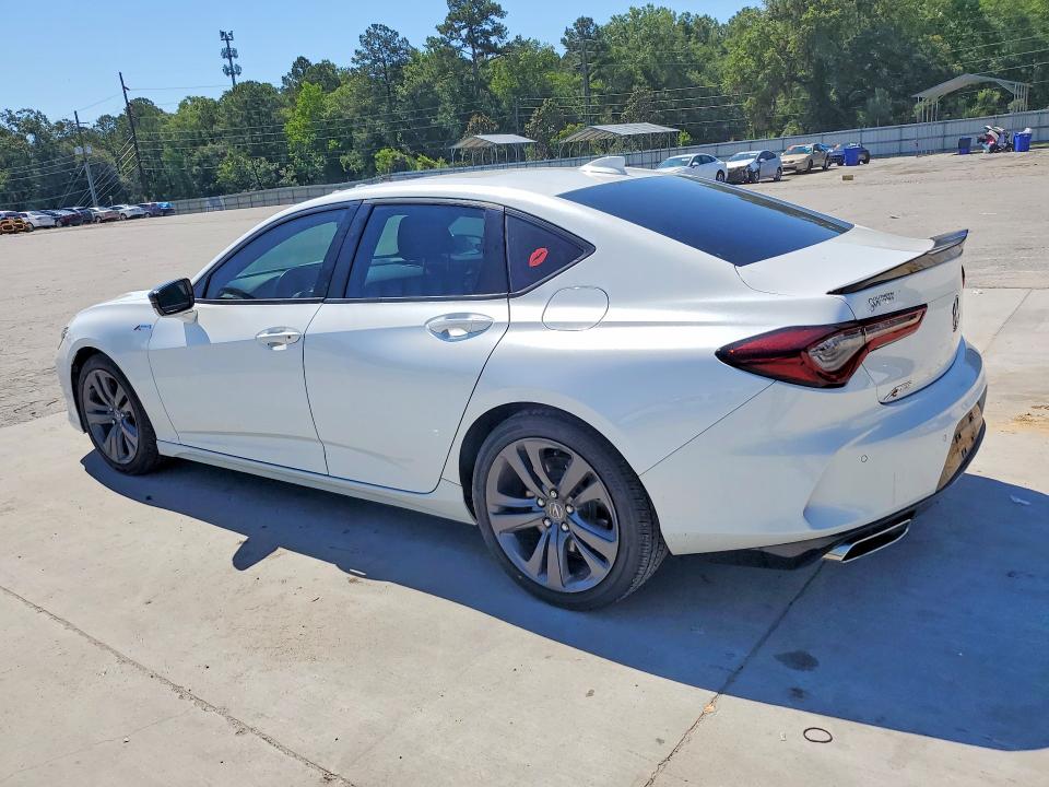 54981556 :رقم المزاد ، 19UUB5F52PA001958 vin ، 2023 Acura Tlx مزاد بيع