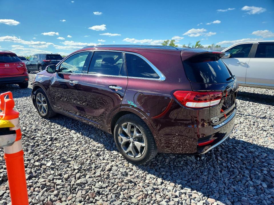 Продажа на аукционе авто 2017 Kia Sorento, vin: 5XYPKDA51HG310304, номер лота: 58548756