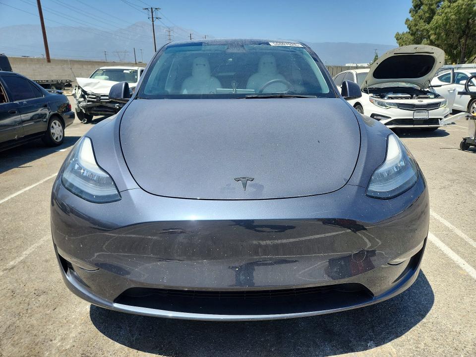 Продажа на аукционе авто 2021 Tesla Model Y, vin: 5YJYGDEEXMF157438, номер лота: 56807026