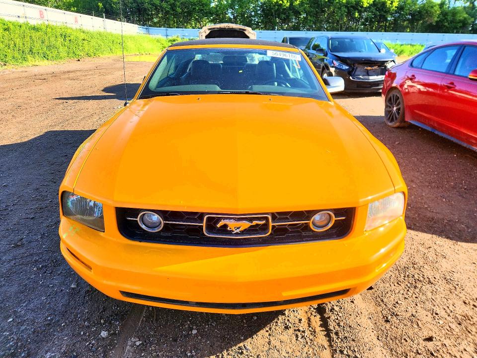 2007 Ford Mustang მანქანა იყიდება აუქციონზე, vin: 1ZVHT84N375352997, აუქციონის ნომერი: 56496106