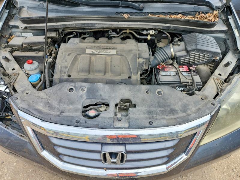 56060646 :رقم المزاد ، 5FNRL3H7XAB039795 vin ، 2010 Honda Odyssey مزاد بيع