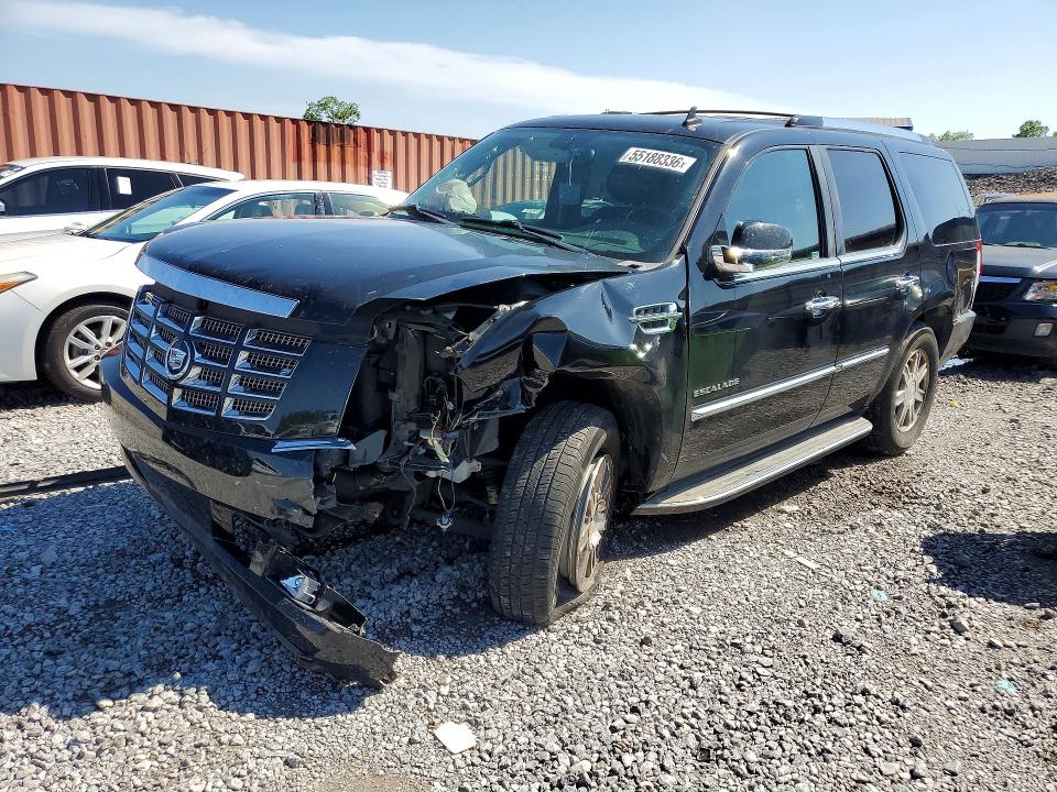 Auction sale of the 2010 Cadillac Escalade, vin: 1GYUCAEF8AR171338, lot number: 55188336