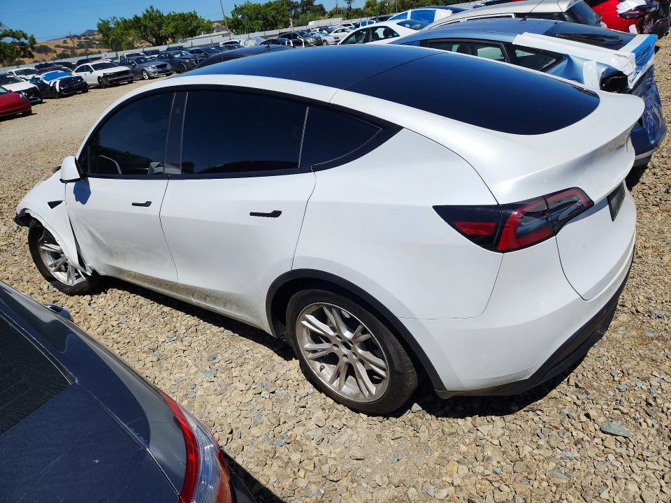Продаж на аукціоні авто 2023 Tesla Model Y, vin: 7SAYGDEE2PA077507, номер лоту: 56152616