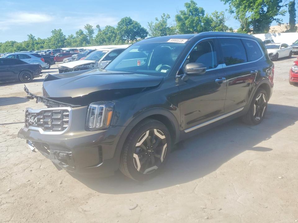 Продажа на аукционе авто 2025 Kia Telluride, vin: 5XYP6DGC1SG587049, номер лота: 55865226