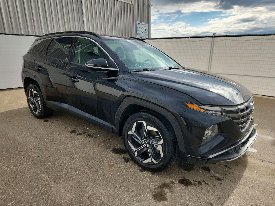 2024 Hyundai Tucson მანქანა იყიდება აუქციონზე, vin: KM8JCCD19RU181617, აუქციონის ნომერი: 57913316