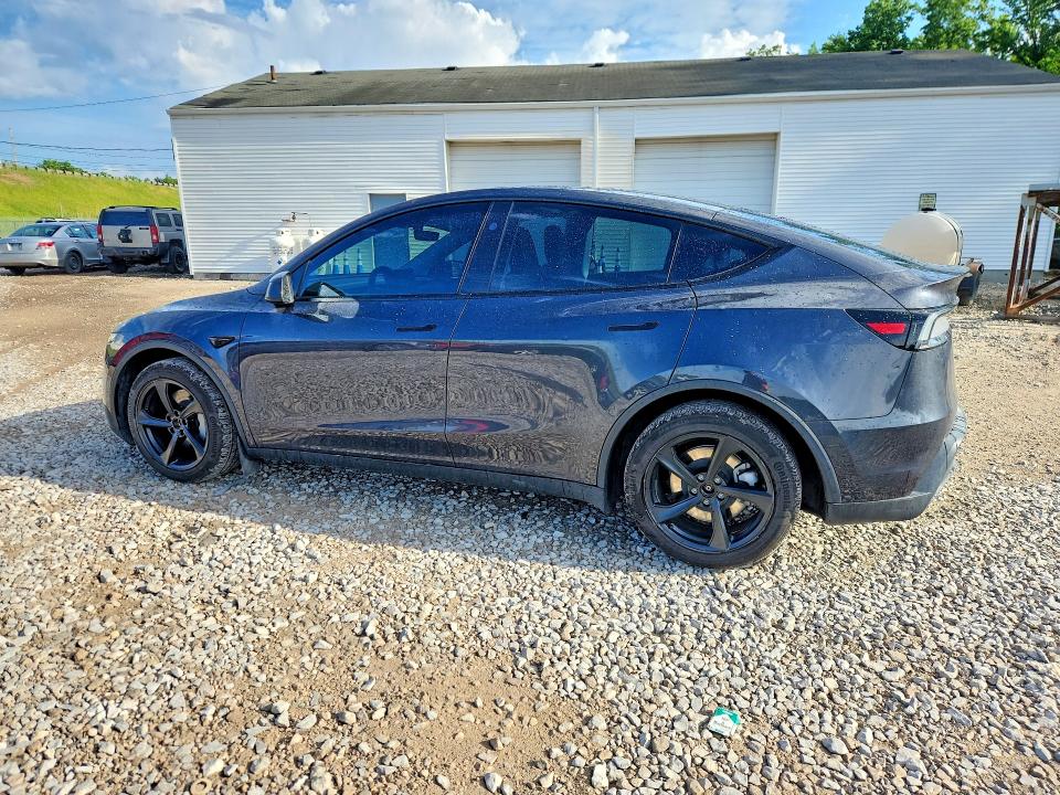 Продажа на аукционе авто 2026 Tesla Model Y, vin: 7SAYGDEE6TF346931, номер лота: 54973406