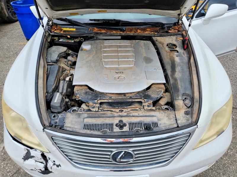 Продажа на аукционе авто 2009 Lexus Ls, vin: JTHCL46F095002966, номер лота: 55525556