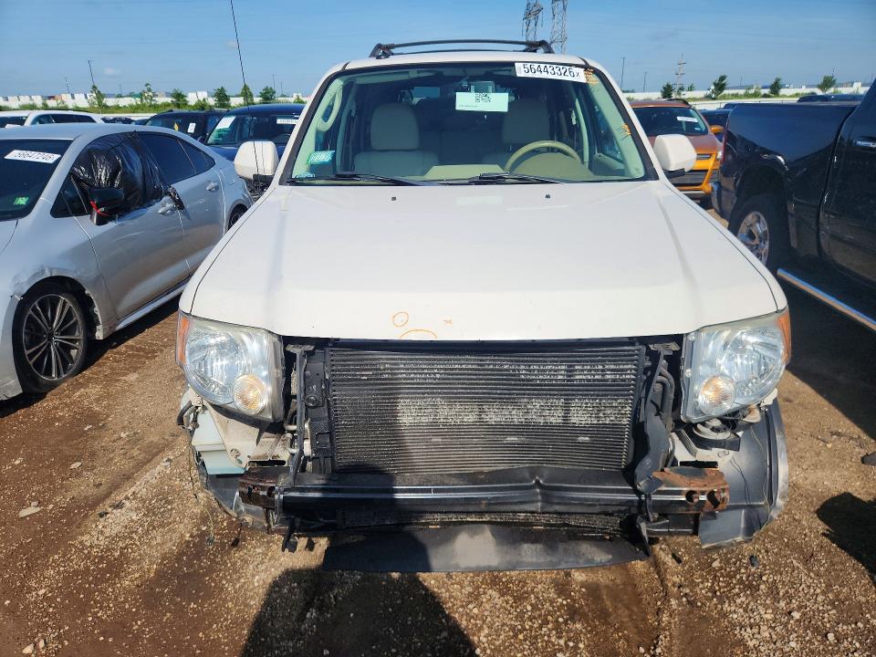 Продаж на аукціоні авто 2009 Ford Escape, vin: 1FMCU94G39KB94338, номер лоту: 56443326