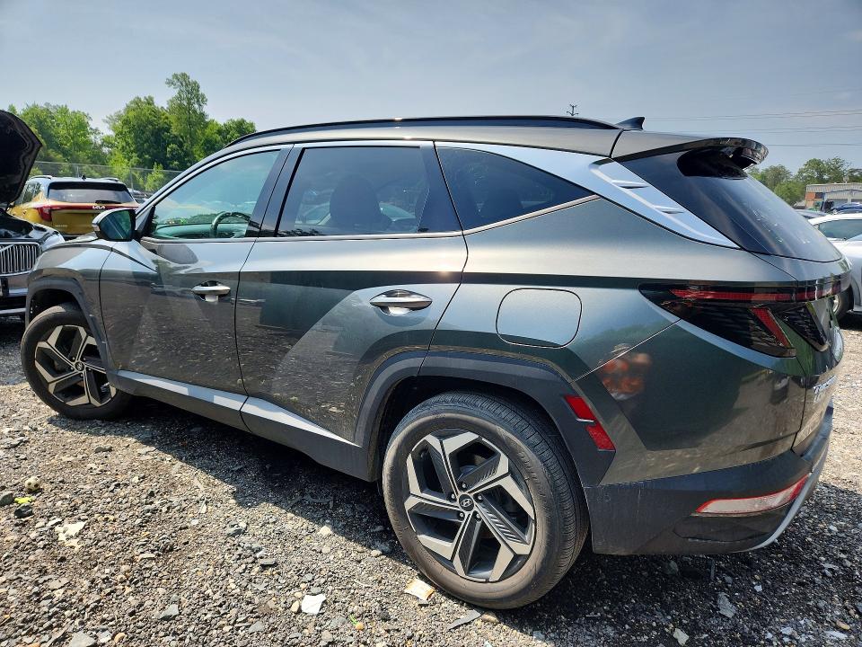 2023 Hyundai Tucson მანქანა იყიდება აუქციონზე, vin: 5NMJECAEXPH210245, აუქციონის ნომერი: 55468296
