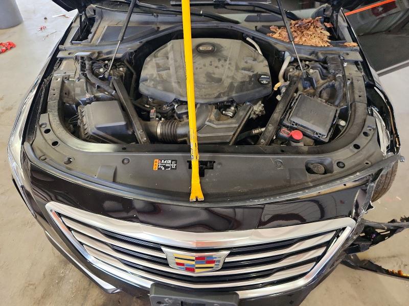 76293355 :رقم المزاد ، 1G6KD5RS9HU142787 vin ، 2017 Cadillac Ct6 مزاد بيع