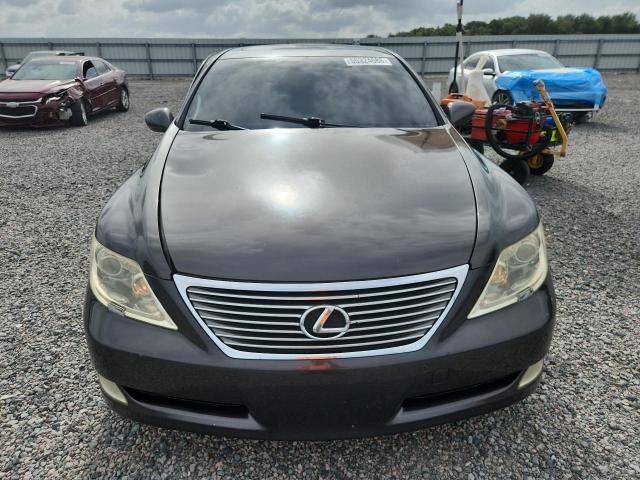 55324686 :رقم المزاد ، JTHBL46F085068251 vin ، 2008 Lexus Ls مزاد بيع