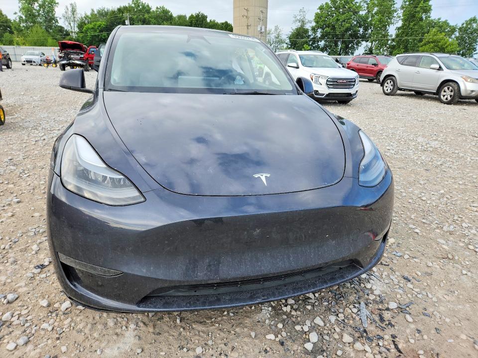 Aukcja sprzedaży 2024 Tesla Model Y, vin: 7SAYGDEE0RA261119, numer aukcji: 59000216