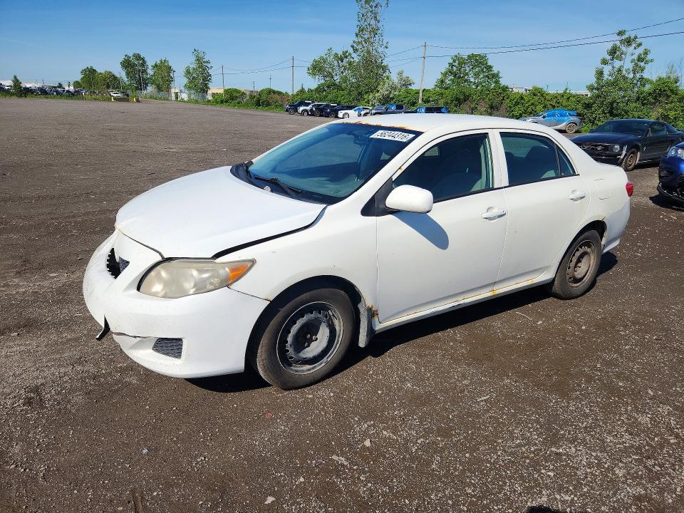 Продажа на аукционе авто 2009 Toyota Corolla, vin: 2T1BU40E99C075525, номер лота: 56244316