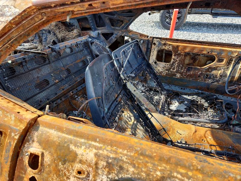 Продаж на аукціоні авто 1969 Ford Mustang, vin: 9R02S149652, номер лоту: 55183926