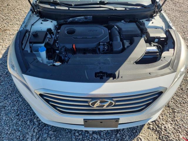 55902596 :رقم المزاد ، 5NPE24AF2FH146437 vin ، 2015 Hyundai Sonata مزاد بيع