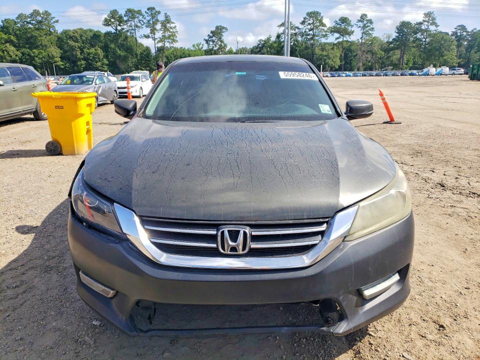 55958246 :رقم المزاد ، 1HGCR2F78DA039892 vin ، 2013 Honda Accord مزاد بيع