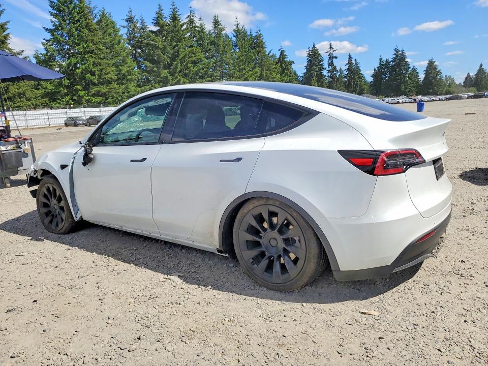 56094606 :رقم المزاد ، 7SAYGAEE7SF302773 vin ، 2025 Tesla Model Y مزاد بيع