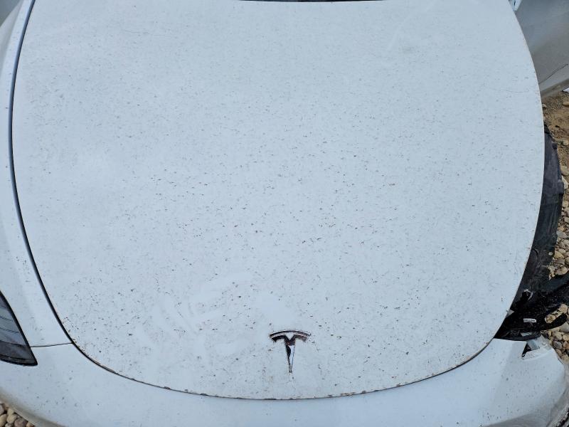 2023 Tesla Model Y მანქანა იყიდება აუქციონზე, vin: 7SAYGDEE2PF604349, აუქციონის ნომერი: 55738056