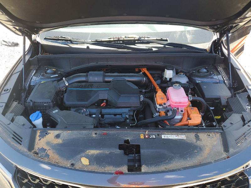 Aukcja sprzedaży 2024 Kia Sorento, vin: KNDRKDLG5R5235253, numer aukcji: 57959366