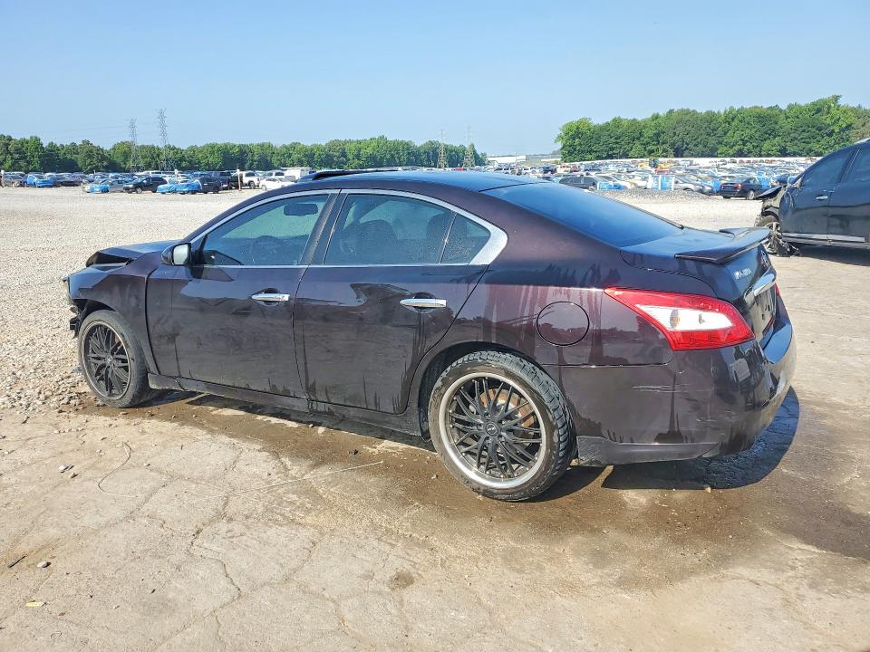 Продаж на аукціоні авто 2010 Nissan Maxima, vin: 1N4AA5AP2AC813968, номер лоту: 59167426