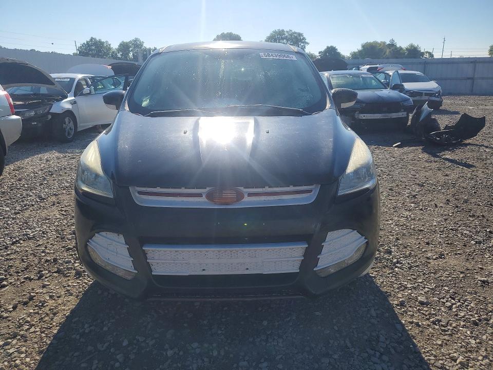 Продаж на аукціоні авто 2014 Ford Escape, vin: 1FMCU0GX9EUD30235, номер лоту: 58439066