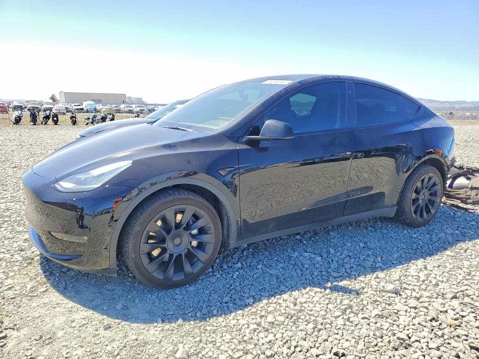 58486346 :رقم المزاد ، 5YJYGDEE2MF241334 vin ، 2021 Tesla Model Y مزاد بيع