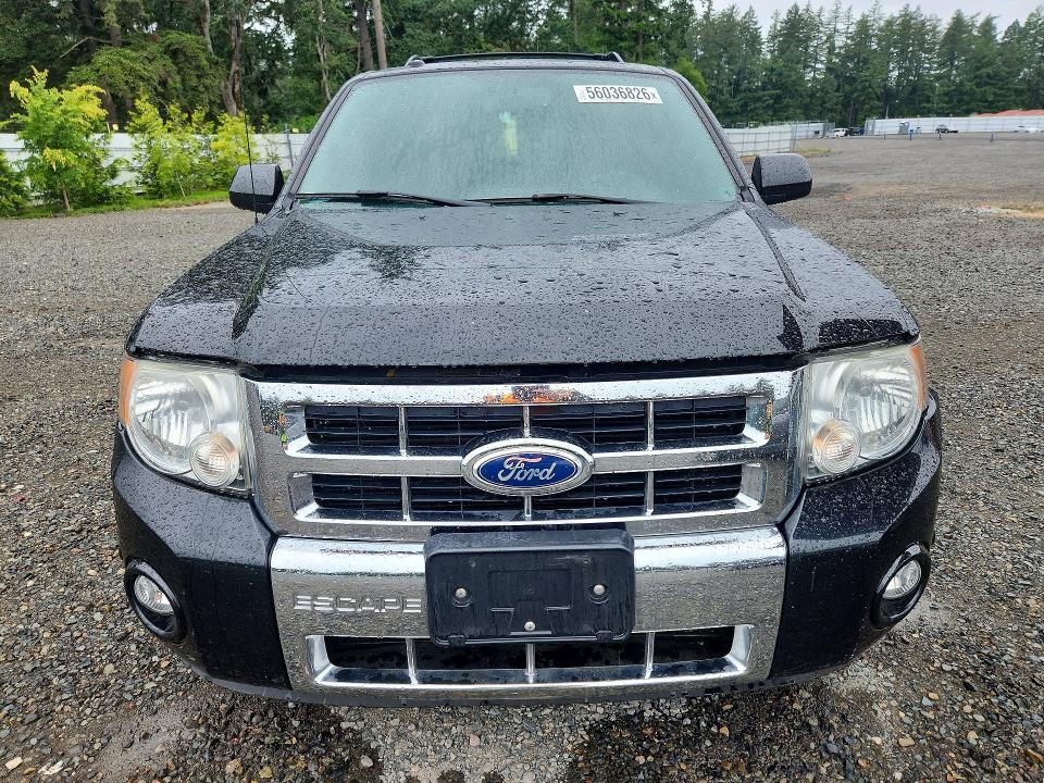 Продажа на аукционе авто 2011 Ford Escape, vin: 1FMCU9EG9BKA08614, номер лота: 56036826