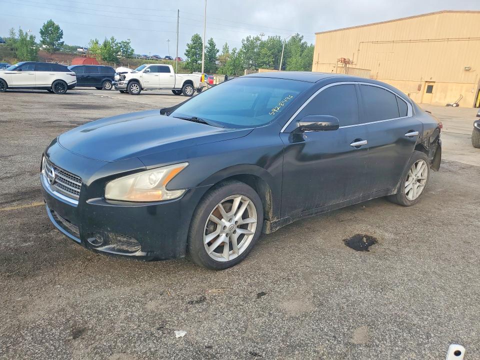 Продаж на аукціоні авто 2011 Nissan Maxima, vin: 1N4AA5AP1BC813008, номер лоту: 59281496