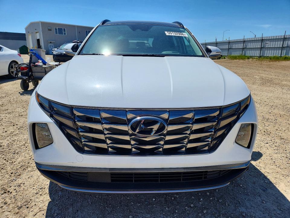 Продажа на аукционе авто 2024 Hyundai Tucson, vin: KM8JCCDE9RU322091, номер лота: 59132906