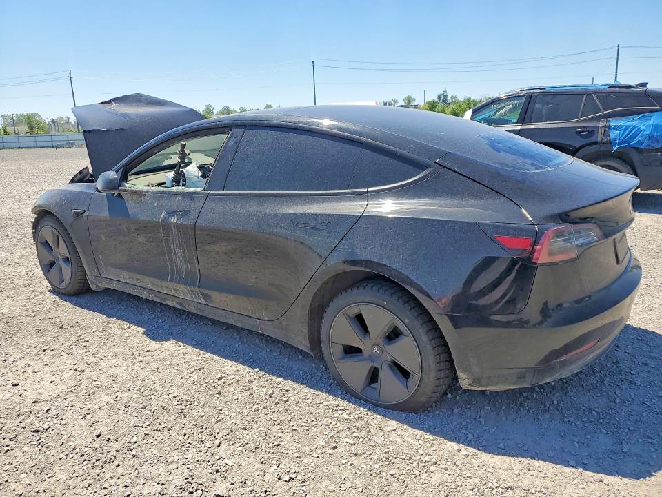 55957436 :رقم المزاد ، 5YJ3E1EB1PF416505 vin ، 2023 Tesla Model 3 مزاد بيع