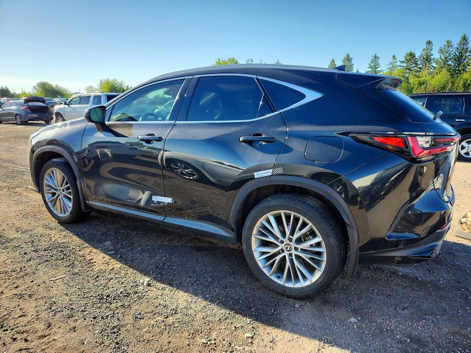 Продажа на аукционе авто 2025 Lexus Nx, vin: 2T2GGCEZ1SC063860, номер лота: 55956786