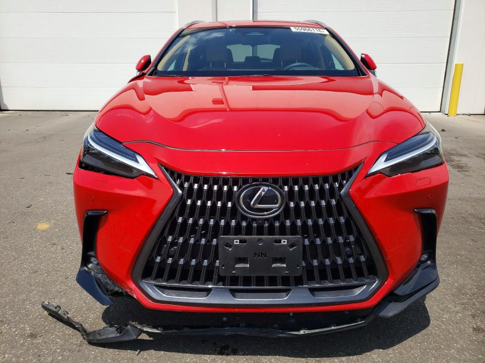 Продажа на аукционе авто 2024 Lexus Nx, vin: 2T2HGCEZ5RC055209, номер лота: 55966116