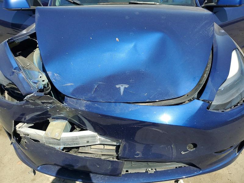 Продаж на аукціоні авто 2023 Tesla Model Y, vin: 7SAYGDEF3PF599185, номер лоту: 56656746