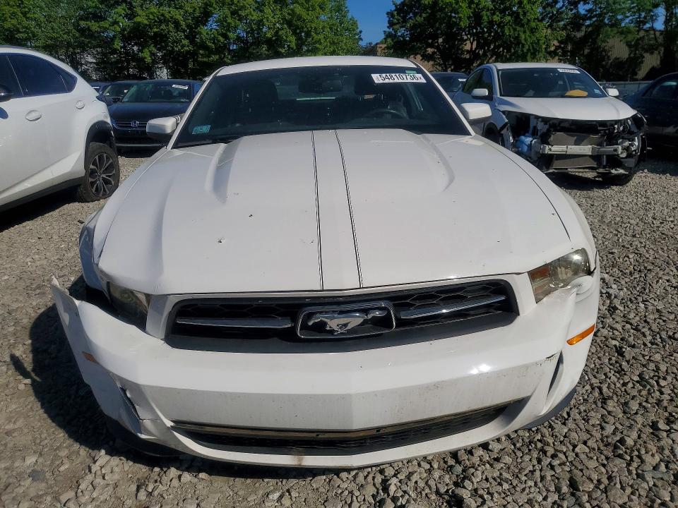 54810736 :رقم المزاد ، 1ZVBP8AN3A5121166 vin ، 2010 Ford Mustang مزاد بيع