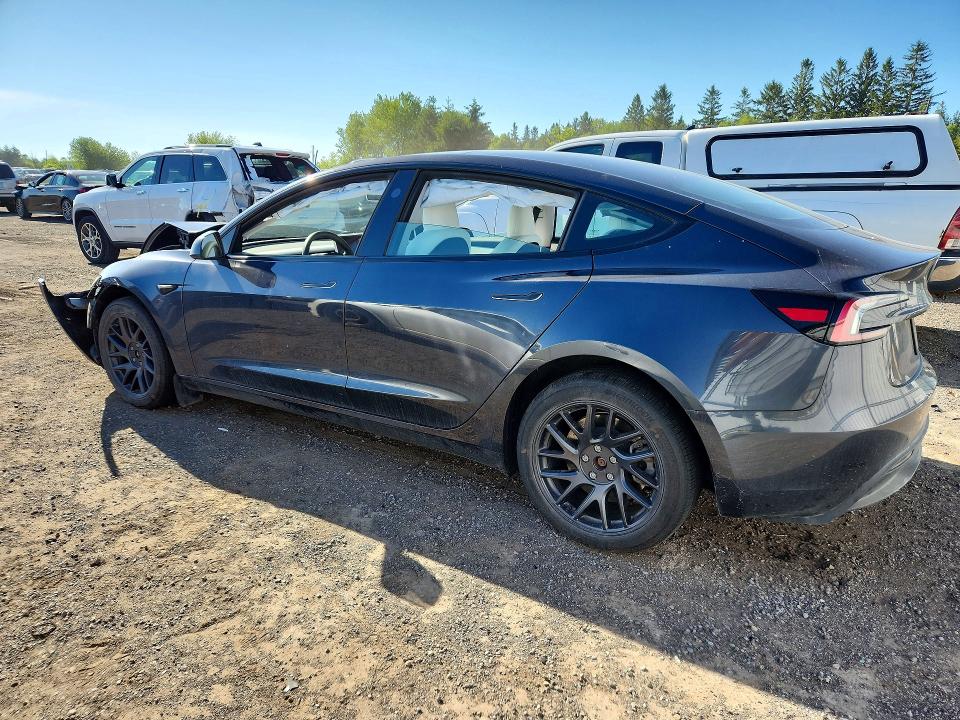 Продажа на аукционе авто 2024 Tesla Model 3, vin: LRW3E7EBXRC262571, номер лота: 55143986