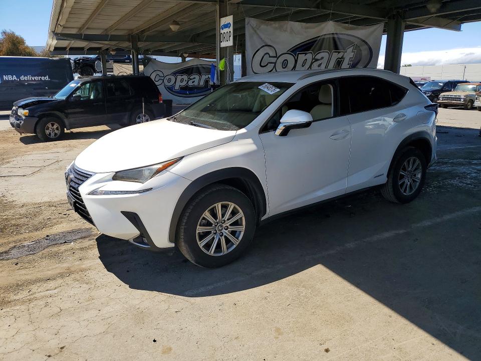 56848576 :رقم المزاد ، JTJBJRBZ0K2109391 vin ، 2019 Lexus Nx مزاد بيع