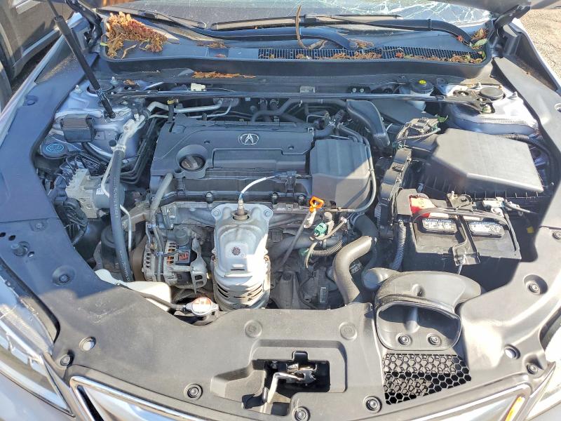 2016 Acura Tlx მანქანა იყიდება აუქციონზე, vin: 19UUB1F36GA005597, აუქციონის ნომერი: 57295926