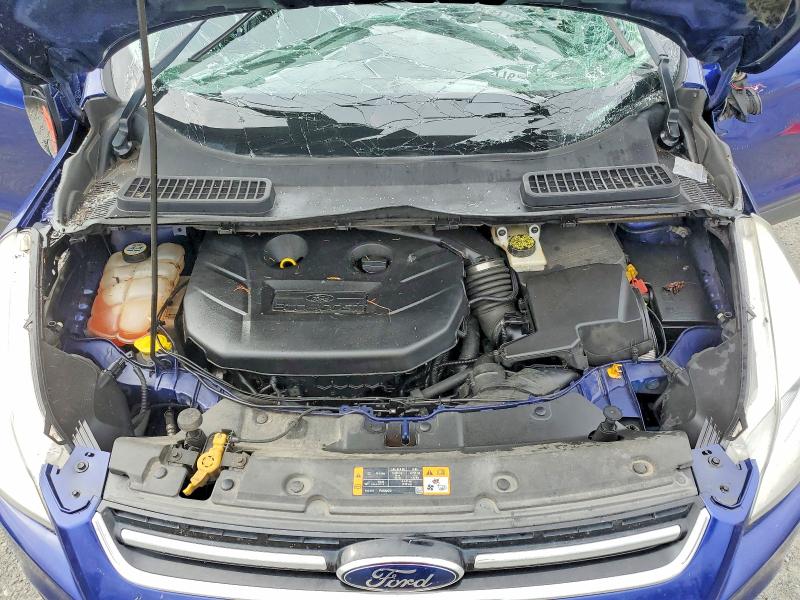 56448776 :رقم المزاد ، 1FMCU0H90DUC55875 vin ، 2013 Ford Escape مزاد بيع