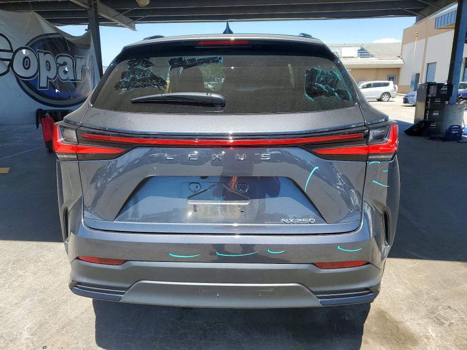 2024 Lexus Nx 250 მანქანა იყიდება აუქციონზე, vin: JTJADCAZ4R5015797, აუქციონის ნომერი: 85611225