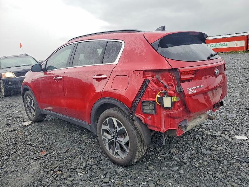 Продаж на аукціоні авто 2020 Kia Sportage, vin: KNDPNCAC2L7649577, номер лоту: 56306276