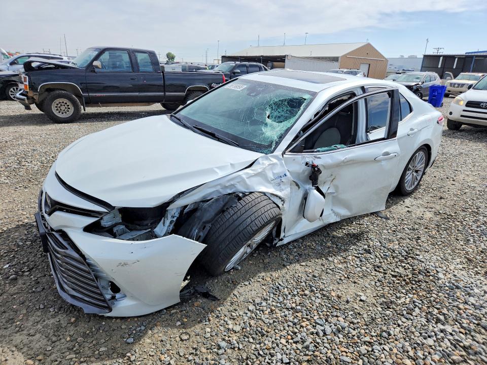 56799596 :رقم المزاد ، 4T1F31AK8LU016897 vin ، 2020 Toyota Camry مزاد بيع