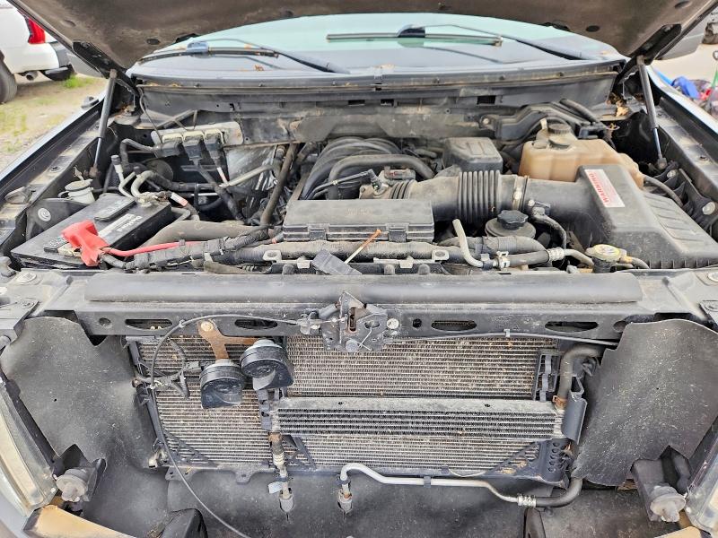 54867056 :رقم المزاد ، 1FTEX1E81AFA49566 vin ، 2010 Ford F150 مزاد بيع
