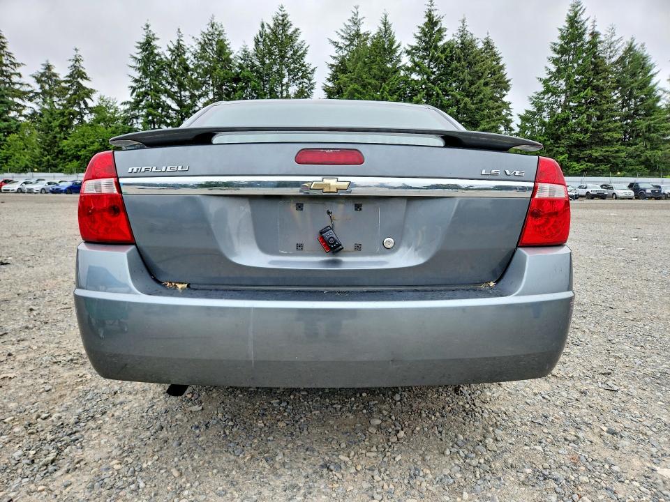 Продаж на аукціоні авто 2005 Chevrolet Malibu, vin: 1G1ZT52895F280335, номер лоту: 55248276