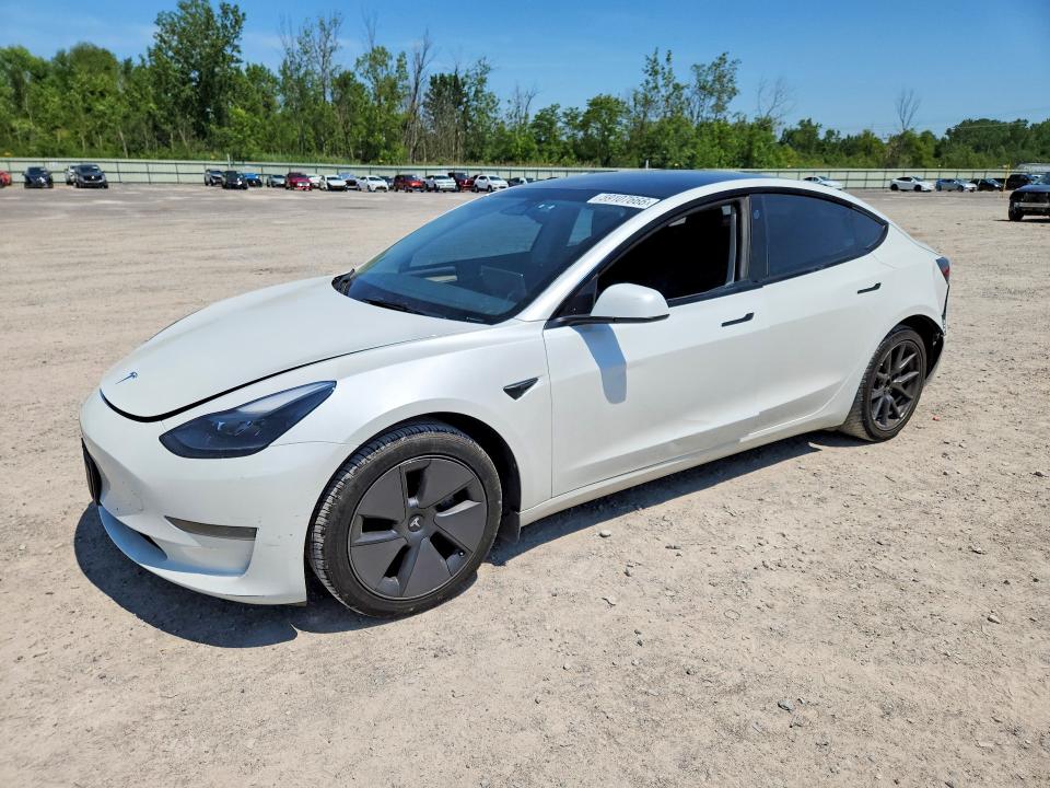 Продаж на аукціоні авто 2023 Tesla Model 3, vin: 5YJ3E1EA7PF491300, номер лоту: 59107666