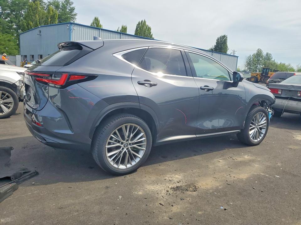 2024 Lexus Nx მანქანა იყიდება აუქციონზე, vin: 2T2HGCEZXRC035599, აუქციონის ნომერი: 57749296