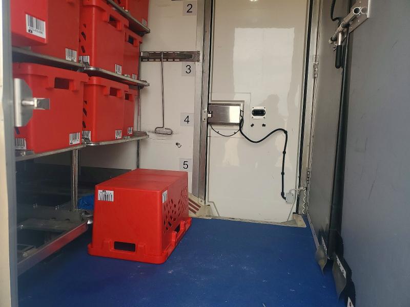 Продажа на аукционе авто 2020 Ford Transit, vin: 1FDBW5Z8XLKA83406, номер лота: 55889336