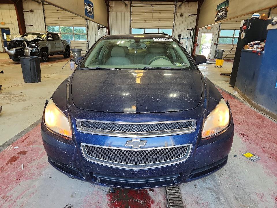 55779756 :رقم المزاد ، 1G1ZB5EB5AF273970 vin ، 2010 Chevrolet Malibu مزاد بيع