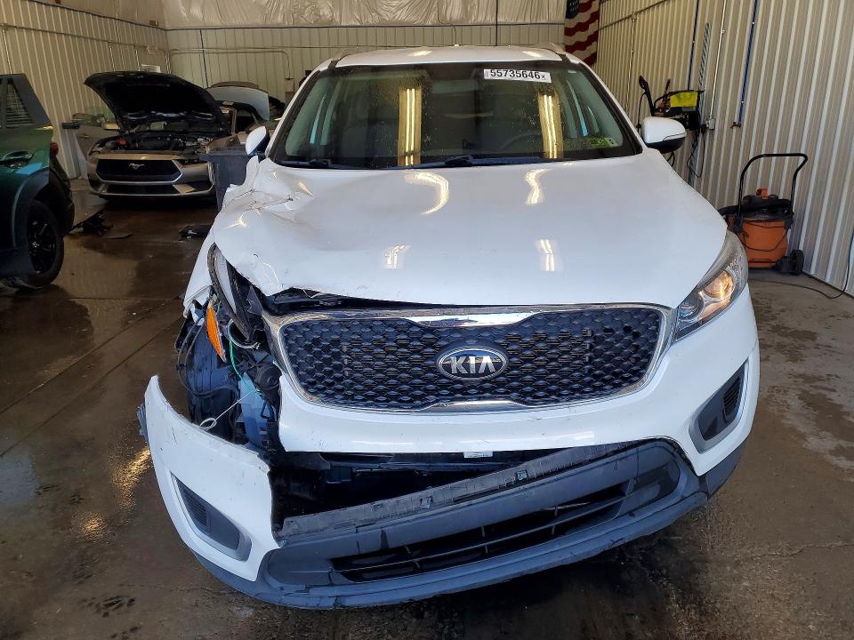 55735646 :رقم المزاد ، 5XYPGDA30JG398719 vin ، 2018 Kia Sorento مزاد بيع