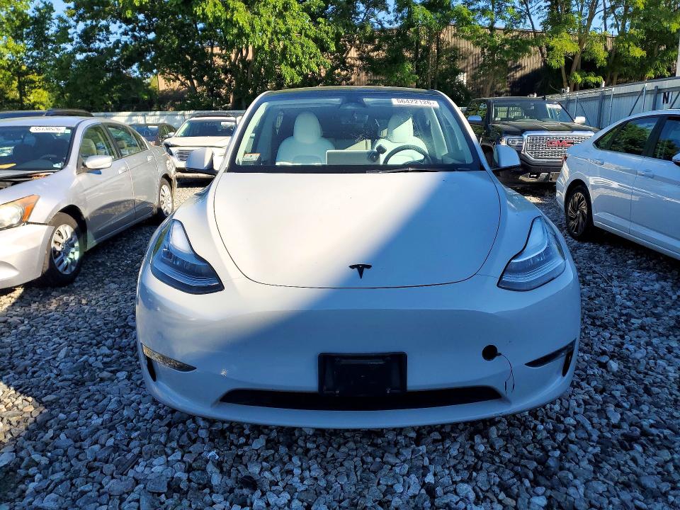Продаж на аукціоні авто 2023 Tesla Model Y, vin: 7SAYGDEE5PA117496, номер лоту: 56422126